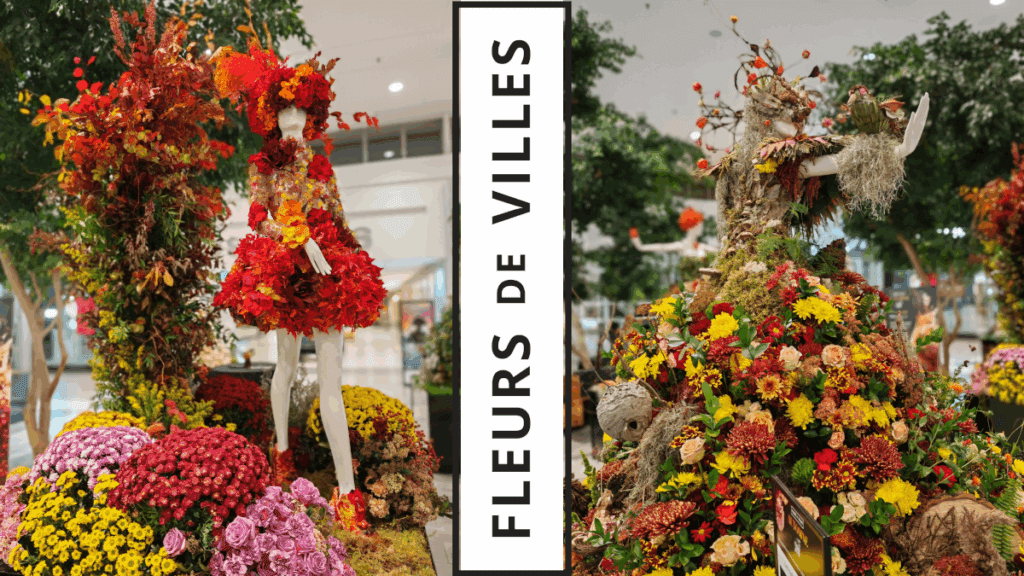 Fleurs de ville