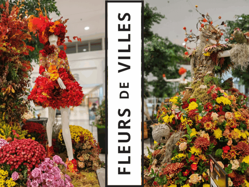Fleurs de ville