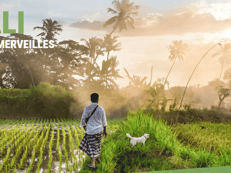 Bali île de merveilles d'Ugo Monticone aux Grands explorateurs