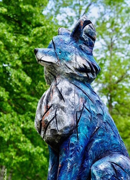 Jai-vu-le-renard-bleu-de-Claire-Alexie-Turcot-sur-les-Plaines-dAbraham-Photo-Lise-Breton.jpg